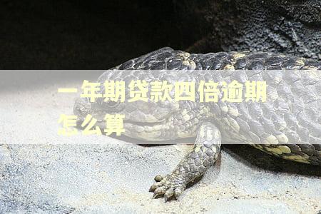 一年期贷款四倍逾期怎么算 一年期贷款四倍逾期怎么算