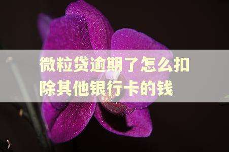 微粒贷逾期了怎么扣除其他银行卡的钱