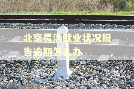 北京灵活就业状况报告逾期怎么办