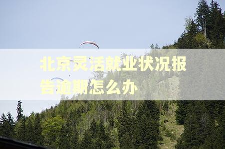 北京灵活就业状况报告逾期怎么办