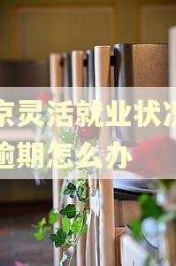 北京灵活就业状况报告逾期怎么办