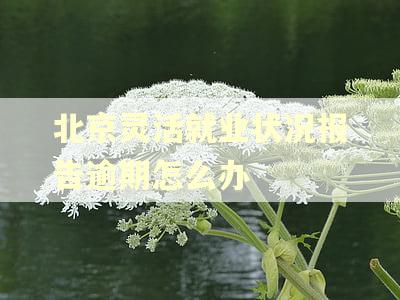 北京灵活就业状况报告逾期怎么办