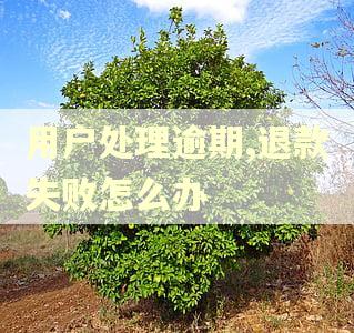 用户处理逾期,退款失败怎么办