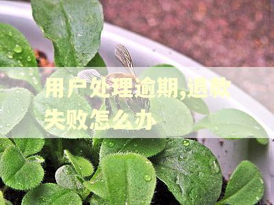 用户处理逾期,退款失败怎么办