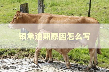 银承逾期原因怎么写