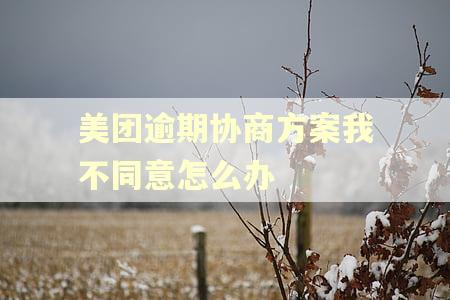 美团逾期协商方案我不同意怎么办