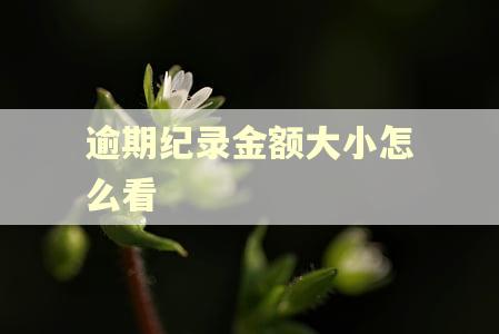 逾期纪录金额大小怎么看