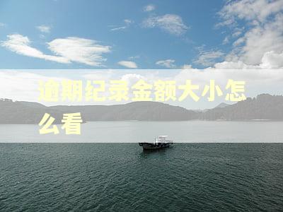 逾期纪录金额大小怎么看