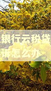 建设银行云税贷逾期被起诉怎么办