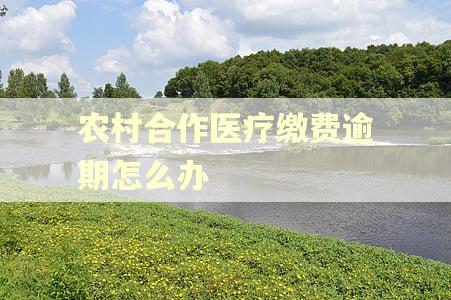 农村合作医疗缴费逾期怎么办