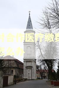 农村合作医疗缴费逾期怎么办