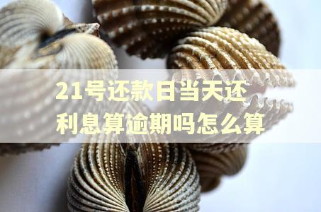 21号还款日当天还利息算逾期吗怎么算