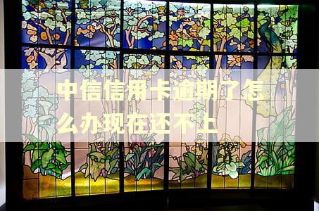 中信信用卡逾期了怎么办现在还不上