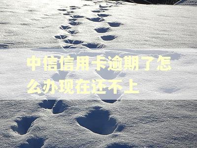 中信信用卡逾期了怎么办现在还不上