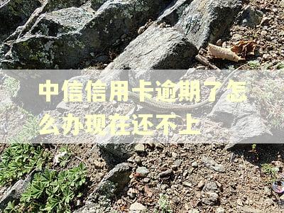 中信信用卡逾期了怎么办现在还不上