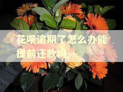 花呗逾期了怎么办能提前还款吗