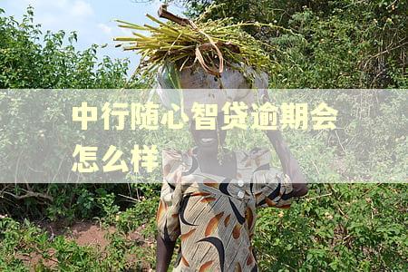 中行随心智贷逾期会怎么样 中行随心智贷逾期会怎么样