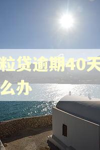 微粒贷逾期40天了怎么办