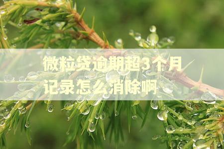 微粒贷逾期超3个月记录怎么消除啊