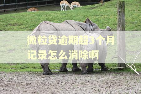 微粒贷逾期超3个月记录怎么消除啊