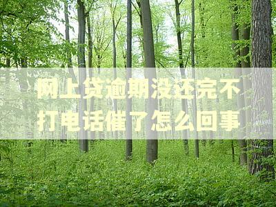网上贷逾期没还完不打电话催了怎么回事
