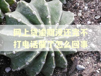 网上贷逾期没还完不打电话催了怎么回事