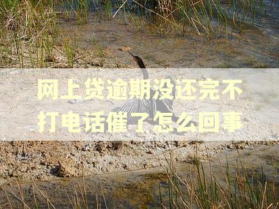 网上贷逾期没还完不打电话催了怎么回事