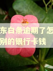 京东白条逾期了怎么扣别的银行卡钱