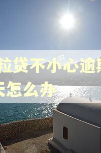 微粒贷不小心逾期80天怎么办