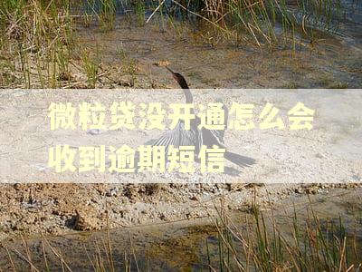 微粒贷没开通怎么会收到逾期短信