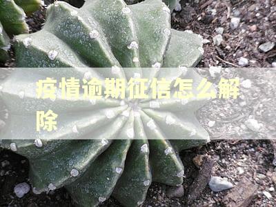 疫情逾期征信怎么解除