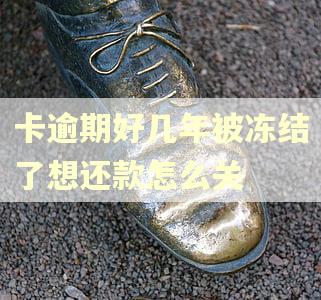 卡逾期好几年被冻结了想还款怎么关