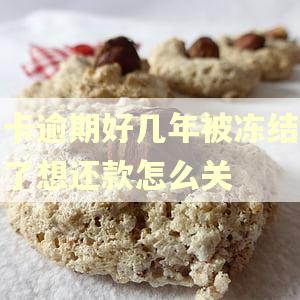 卡逾期好几年被冻结了想还款怎么关