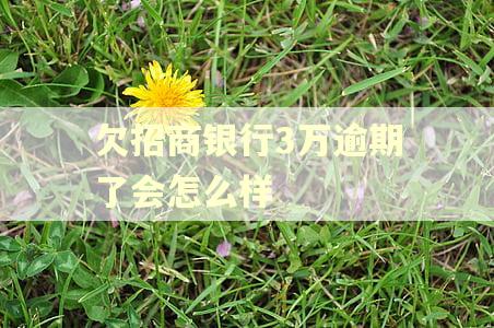 欠招商银行3万逾期了会怎么样