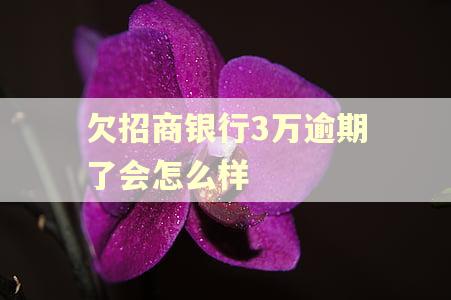 欠招商银行3万逾期了会怎么样