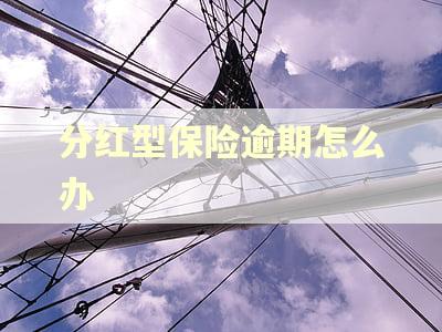 分红型保险逾期怎么办