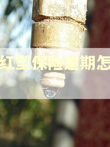 分红型保险逾期怎么办