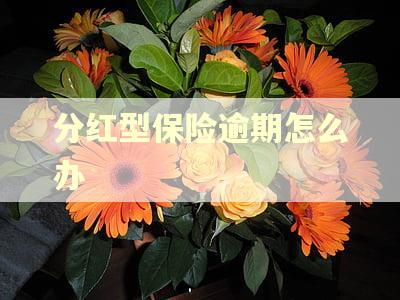 分红型保险逾期怎么办