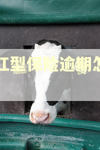 分红型保险逾期怎么办 分红型保险逾期怎么办