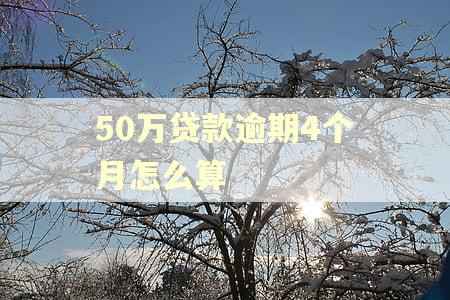 50万贷款逾期4个月怎么算