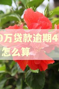 50万贷款逾期4个月怎么算
