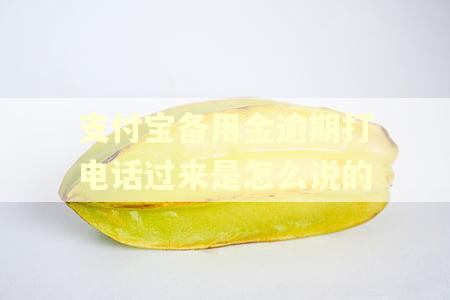 支付宝备用金逾期打电话过来是怎么说的