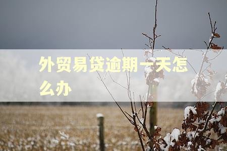 外贸易贷逾期一天怎么办