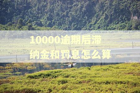 10000逾期后滞纳金和罚息怎么算