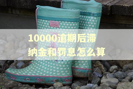 10000逾期后滞纳金和罚息怎么算 10000逾期后滞纳金和罚息怎么算