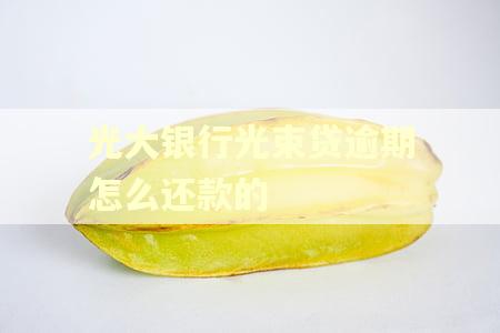 光大银行光束贷逾期怎么还款的