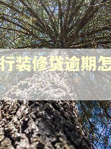 建行装修贷逾期怎么办