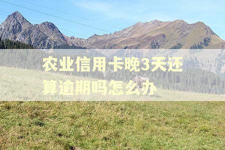 农业信用卡晚3天还算逾期吗怎么办