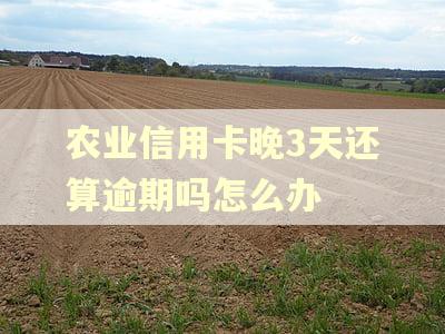 农业信用卡晚3天还算逾期吗怎么办