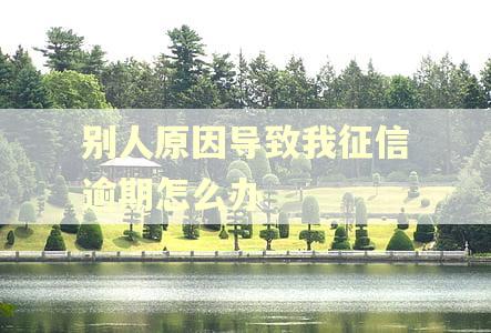 别人原因导致我征信逾期怎么办 别人原因导致我征信逾期怎么办